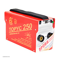 ТОРУС ТОРУС-250